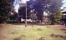 At the Park