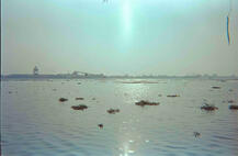 Subash Park 2