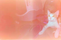 Double Exposure