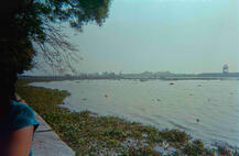 Subash Park 1