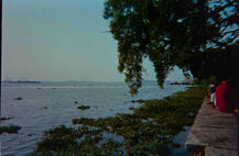 Subash Park 3